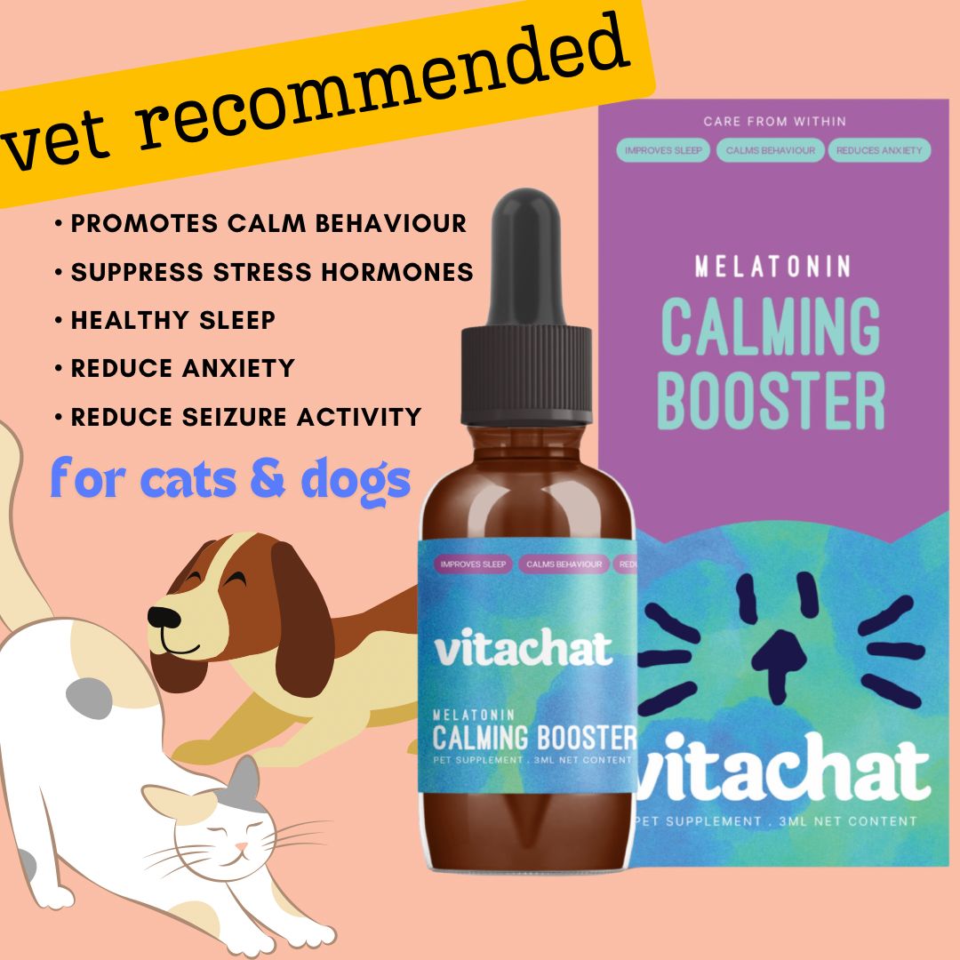 VitaChat Melatonin Calming Booster