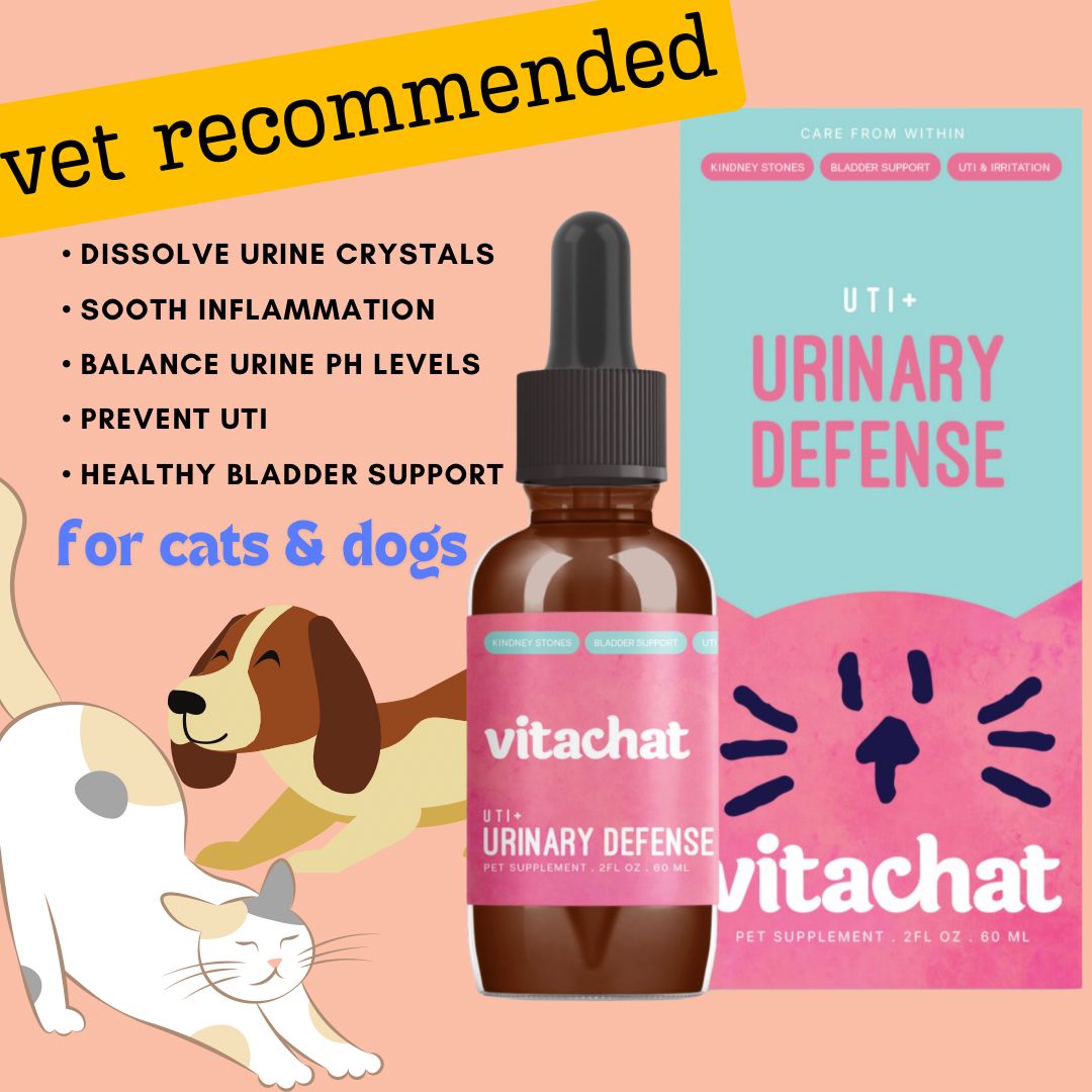 VITACHAT UTI+ URINARY DEFENSE SUPPLEMENT FOR CATS & DOGS