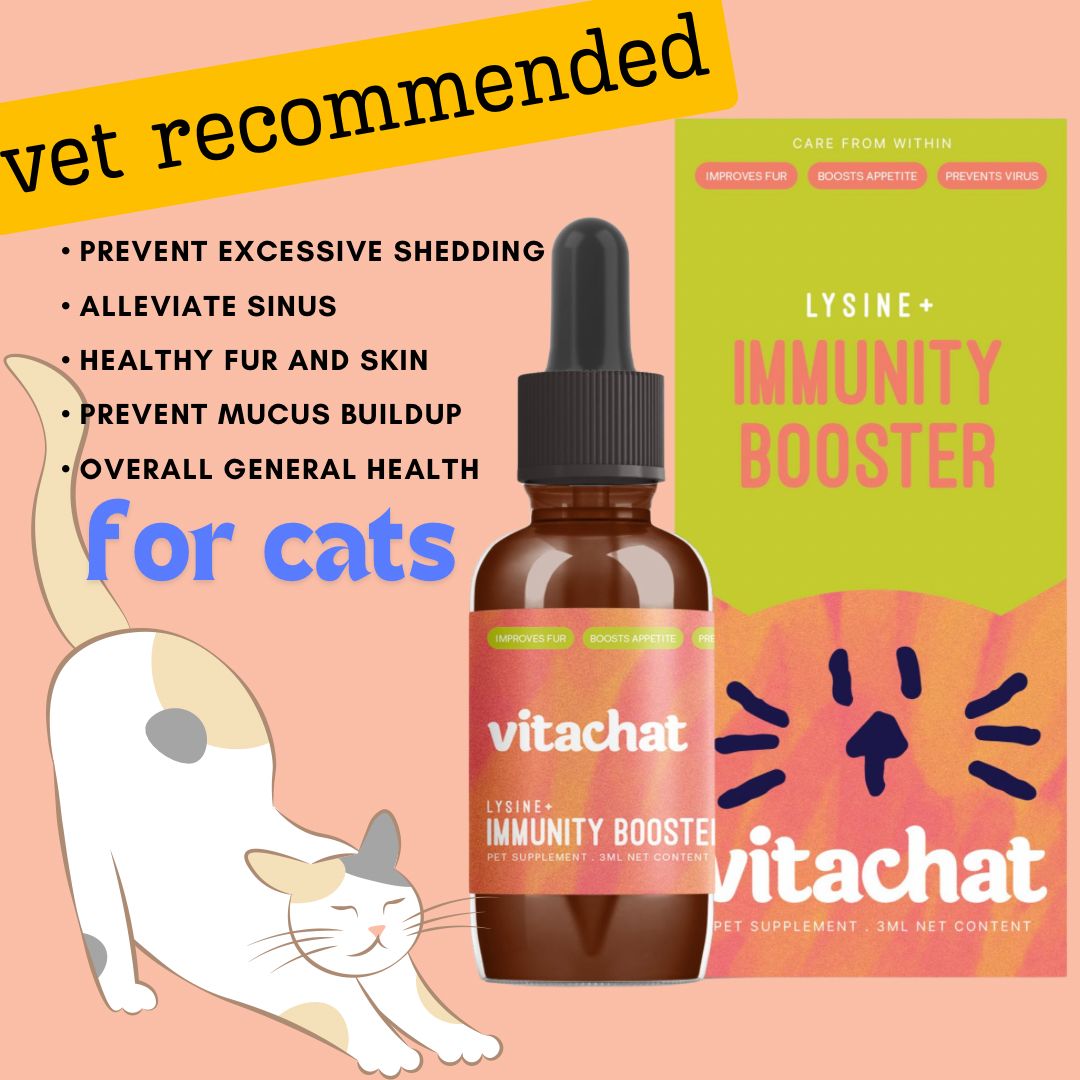 VitaChat Lysine+ Immunity Booster for Cats